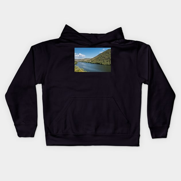 Vineyars in Douro Valley Kids Hoodie by homydesign